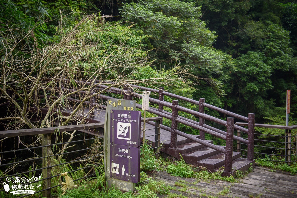 新竹橫山景點【豐鄉瀑布】親子景點.情侶約會.野溪戲水,森林小仙境~夢幻階梯瀑布!