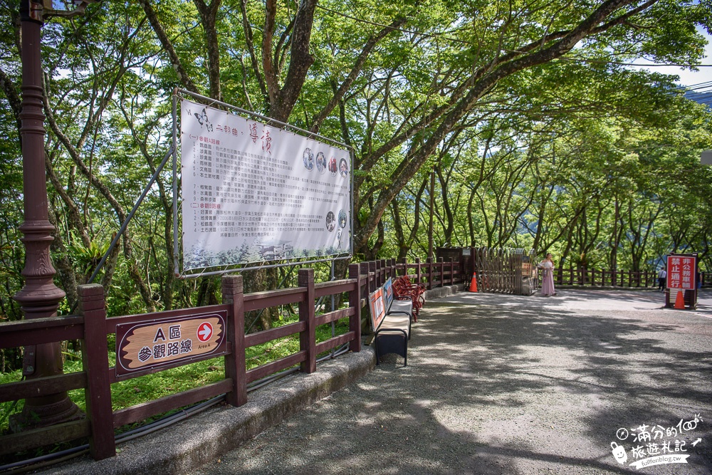 南投鹿谷景點|鳳凰谷鳥園|親子景點.賞鳥.餵鸚鵡.走吊橋.看瀑布|挑戰森林溜滑梯~探索大自然的奧妙!