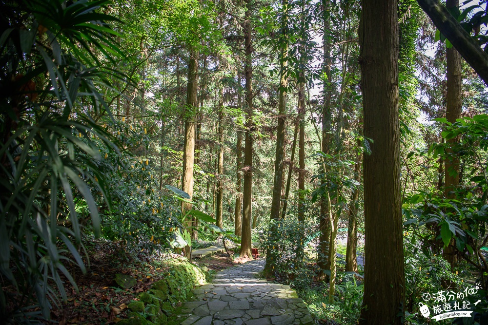 南投鹿谷景點|鳳凰谷鳥園|親子景點.賞鳥.餵鸚鵡.走吊橋.看瀑布|挑戰森林溜滑梯~探索大自然的奧妙!