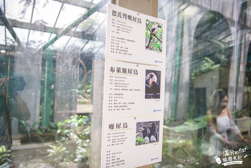 南投鹿谷景點|鳳凰谷鳥園|親子景點.賞鳥.餵鸚鵡.走吊橋.看瀑布|挑戰森林溜滑梯~探索大自然的奧妙!