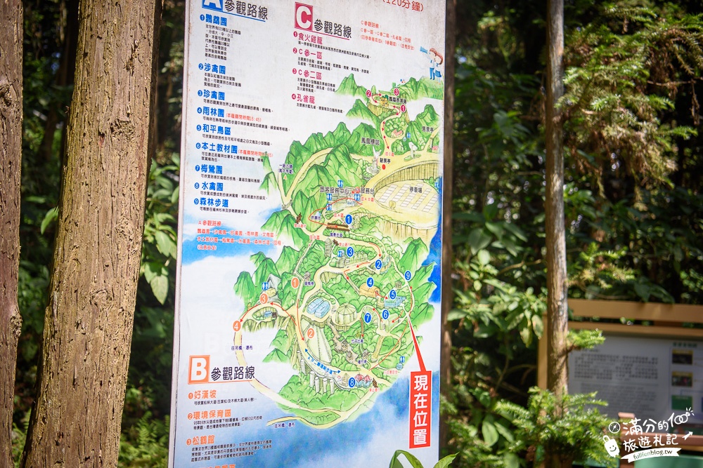 南投鹿谷景點|鳳凰谷鳥園|親子景點.賞鳥.餵鸚鵡.走吊橋.看瀑布|挑戰森林溜滑梯~探索大自然的奧妙!