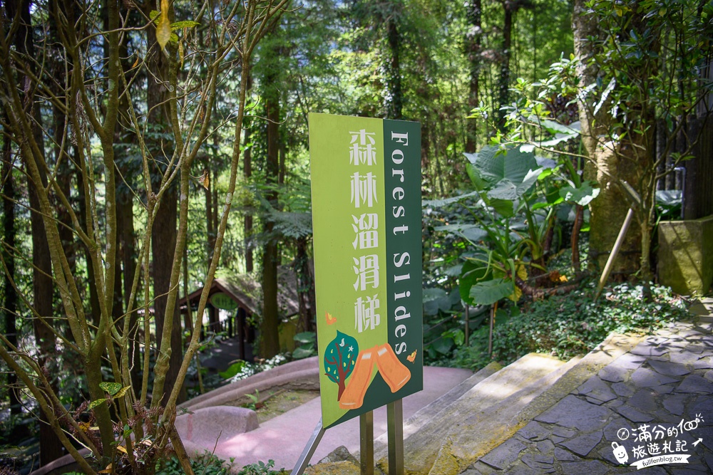 南投鹿谷景點|鳳凰谷鳥園|親子景點.賞鳥.餵鸚鵡.走吊橋.看瀑布|挑戰森林溜滑梯~探索大自然的奧妙!