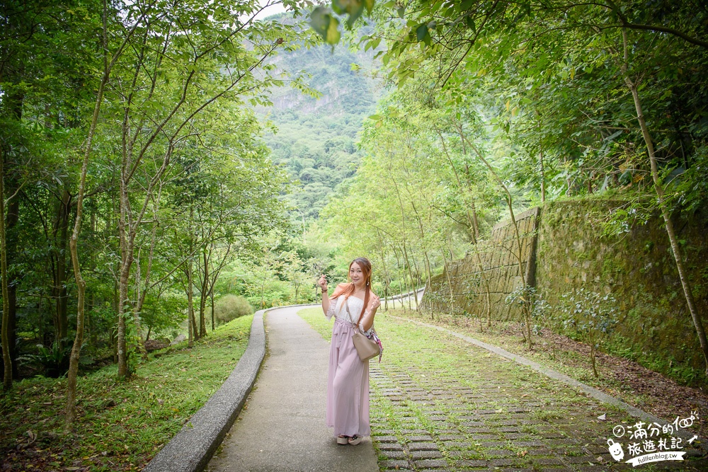 南投鹿谷景點|鳳凰谷鳥園|親子景點.賞鳥.餵鸚鵡.走吊橋.看瀑布|挑戰森林溜滑梯~探索大自然的奧妙!