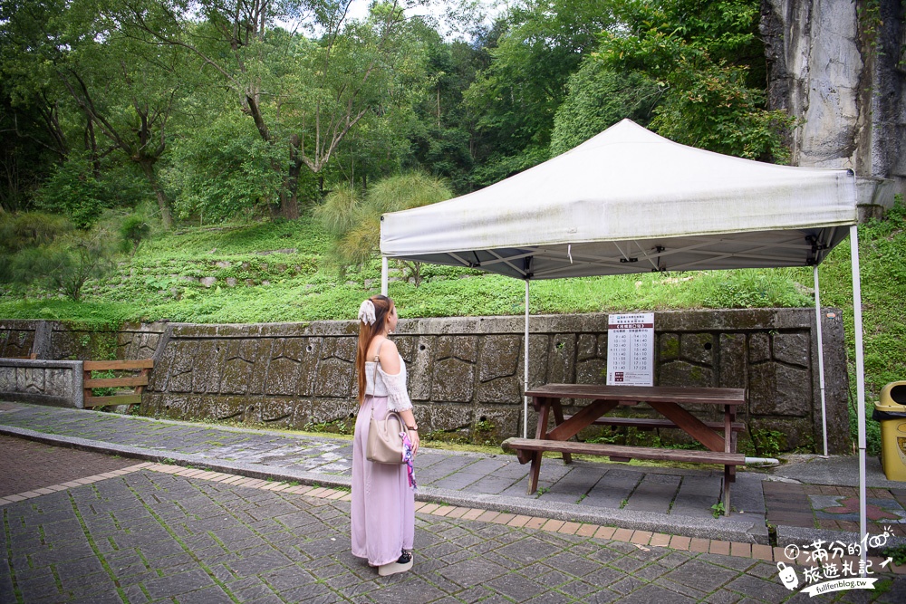 南投鹿谷景點|鳳凰谷鳥園|親子景點.賞鳥.餵鸚鵡.走吊橋.看瀑布|挑戰森林溜滑梯~探索大自然的奧妙!