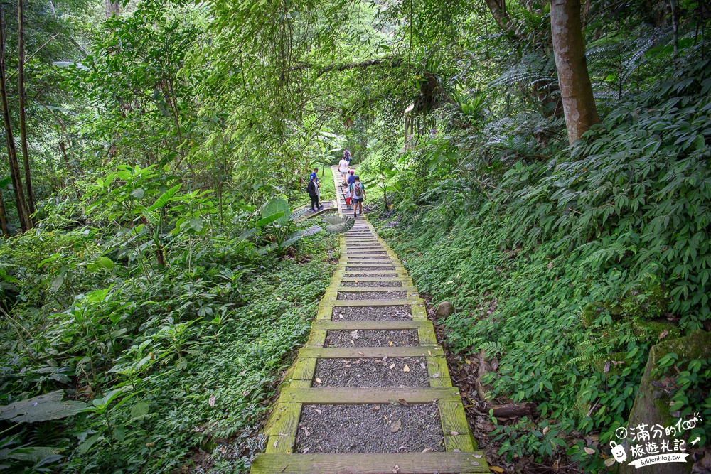 南投鹿谷景點|鳳凰谷鳥園|親子景點.賞鳥.餵鸚鵡.走吊橋.看瀑布|挑戰森林溜滑梯~探索大自然的奧妙!