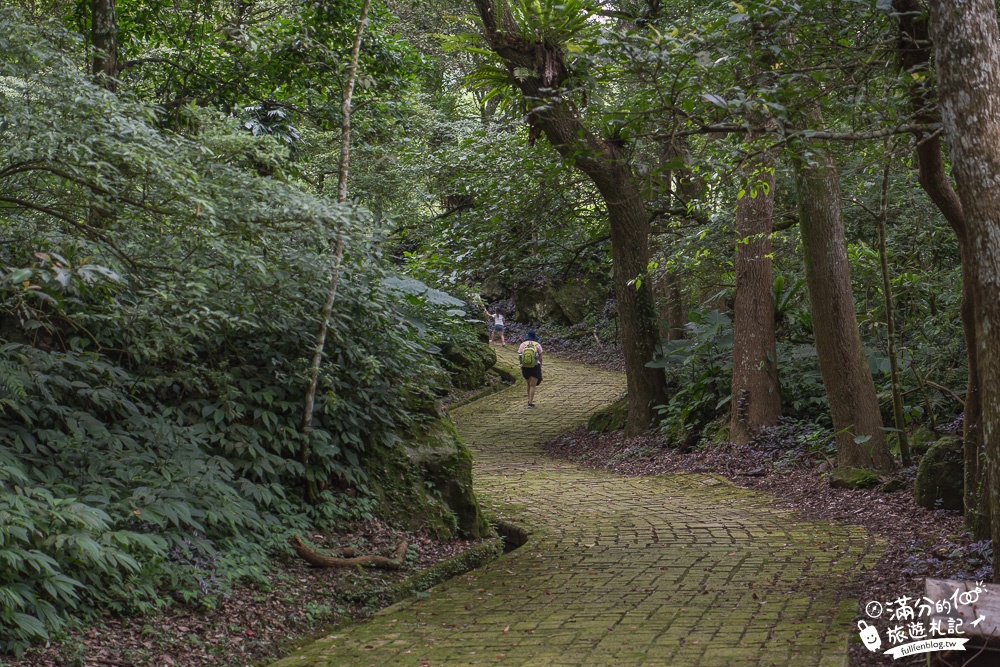 南投鹿谷景點|鳳凰谷鳥園|親子景點.賞鳥.餵鸚鵡.走吊橋.看瀑布|挑戰森林溜滑梯~探索大自然的奧妙!