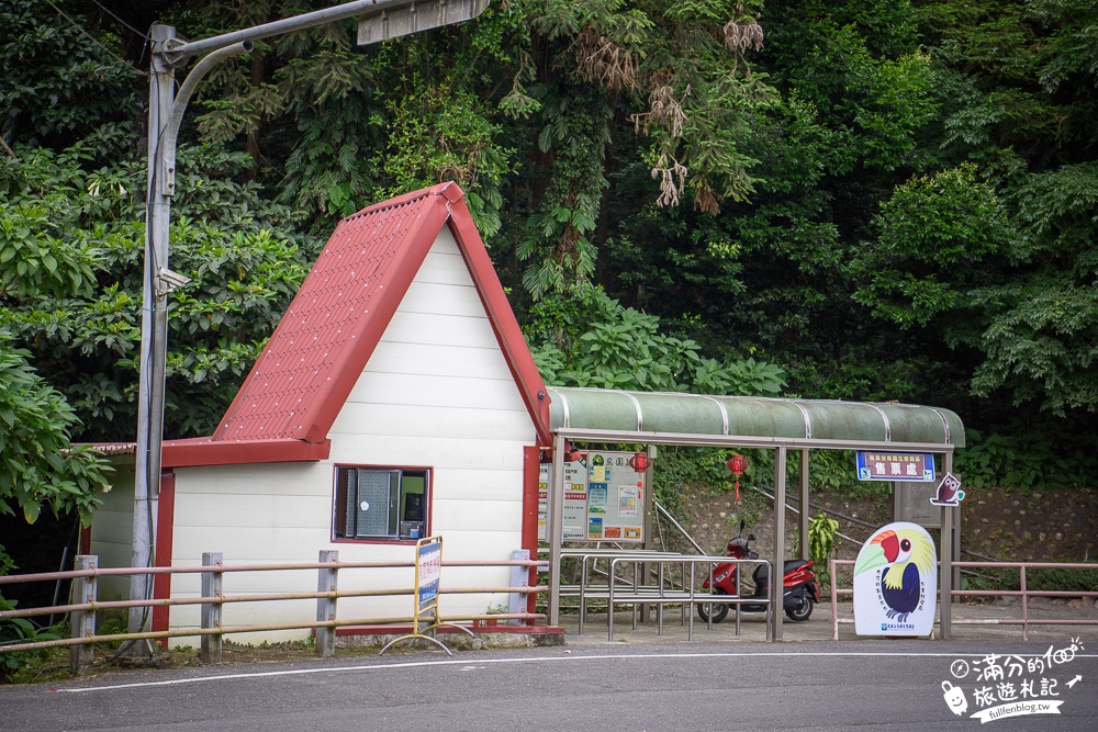 南投鹿谷景點|鳳凰谷鳥園|親子景點.賞鳥.餵鸚鵡.走吊橋.看瀑布|挑戰森林溜滑梯~探索大自然的奧妙!