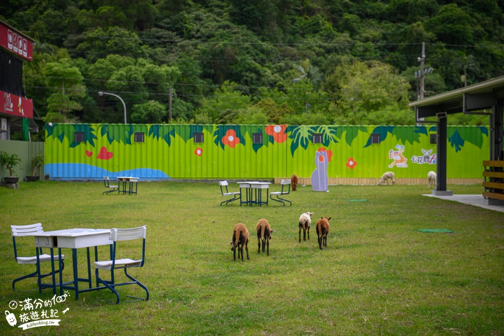 宜蘭冬山景點|心花鹿Fun|親子景點.休閒農場.草泥馬.小鹿喝ㄋㄟㄋㄟ|好古錐~呆萌羊駝出沒陪你一起玩!