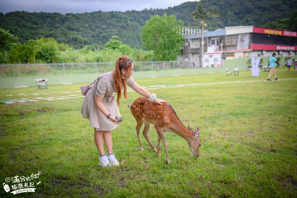 宜蘭冬山景點|心花鹿Fun|親子景點.休閒農場.草泥馬.小鹿喝ㄋㄟㄋㄟ|好古錐~呆萌羊駝出沒陪你一起玩!