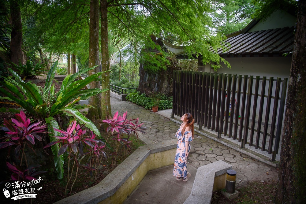 【坪林茶業博物館】台灣茶主題故事館,玩茶品茶香,看水豚泡湯,遠離喧囂的茶文化探索之旅!