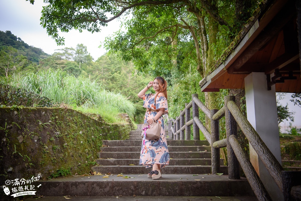 【坪林茶業博物館】台灣茶主題故事館,玩茶品茶香,看水豚泡湯,遠離喧囂的茶文化探索之旅!