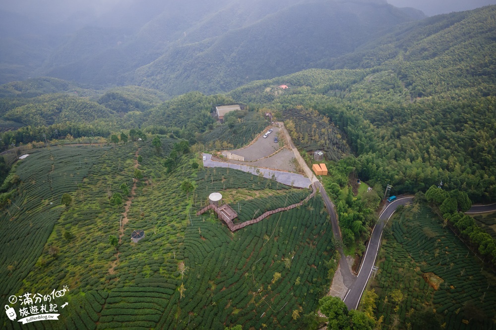 南投景點【銀杏森林&大崙山觀景臺】吃火鍋.望茶田.走步道,海拔1600公尺的秘境~山林裡最夢幻的金色花園!