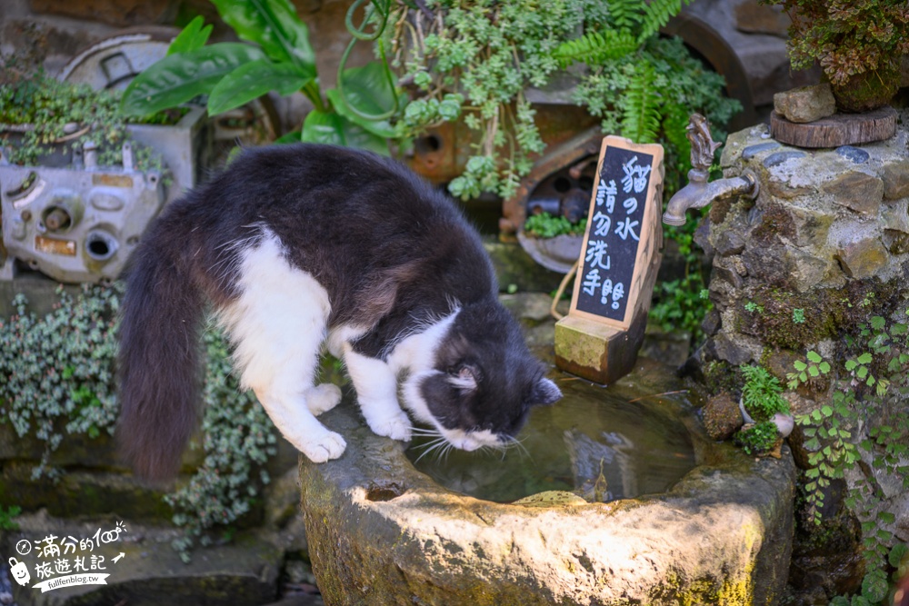 嘉義【阿將的家23咖啡館】阿里山下午茶,純手工藝術空間~深山裡的石頭村!