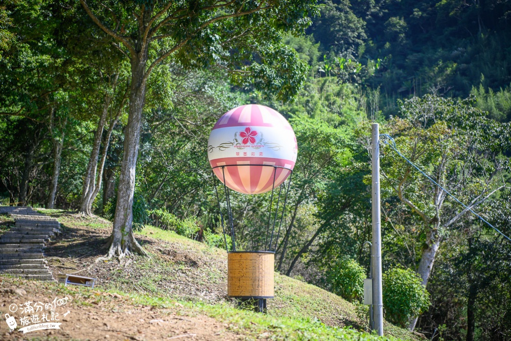 桃園景點【翠墨莊園櫻花季】穿和服賞櫻花,下午茶.日式大鳥居,復興鄉順遊景點攻略!