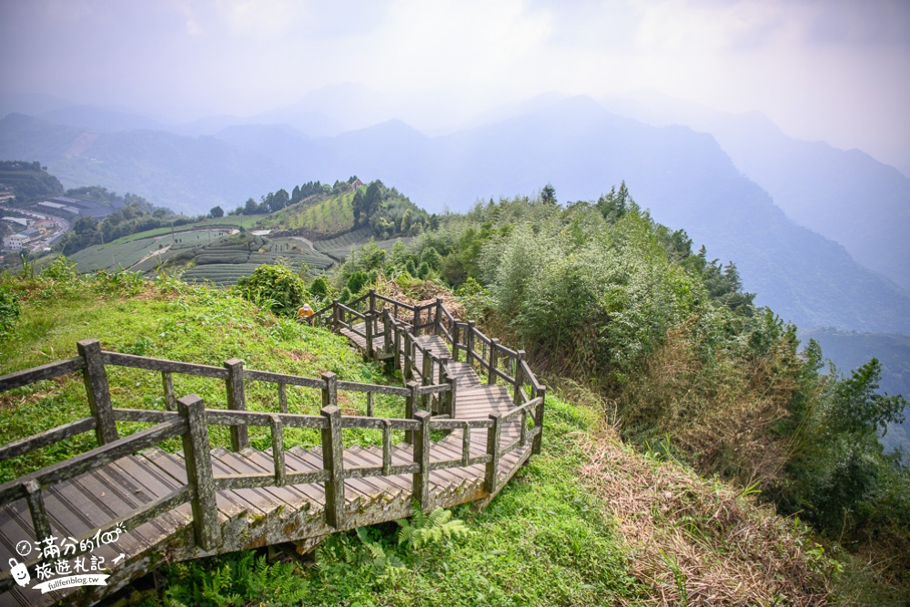 【嘉義阿里山景點】隙頂觀景臺.二延平步道(免門票)看茶田.望雲海,夢幻雲海步道~我在茶田山裡迷路!