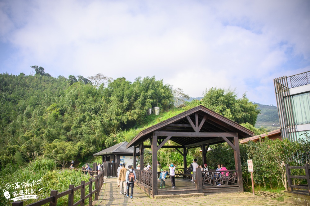 【嘉義阿里山景點】隙頂觀景臺.二延平步道(免門票)看茶田.望雲海,夢幻雲海步道~我在茶田山裡迷路!