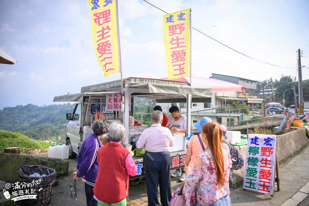 【嘉義阿里山景點】隙頂觀景臺.二延平步道(免門票)看茶田.望雲海,夢幻雲海步道~我在茶田山裡迷路!