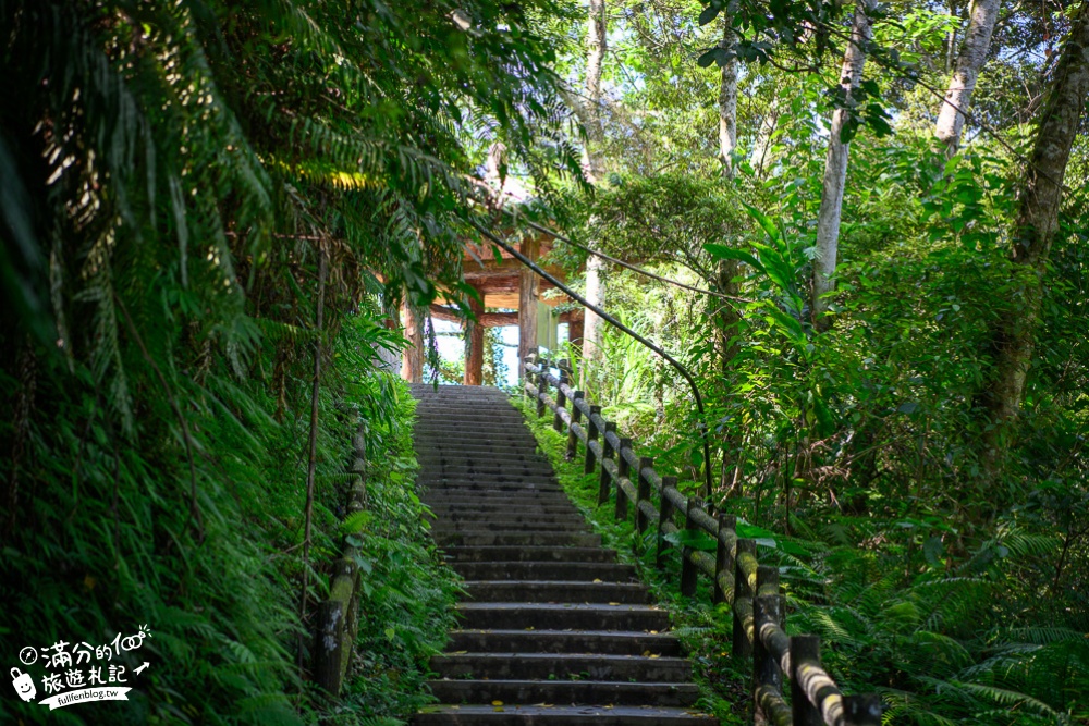 桃園景點|三民蝙蝠洞(免門票)彎月洞穴.雙絲瀑布.森林步道|夢幻水簾洞~大自然的鬼斧神工!