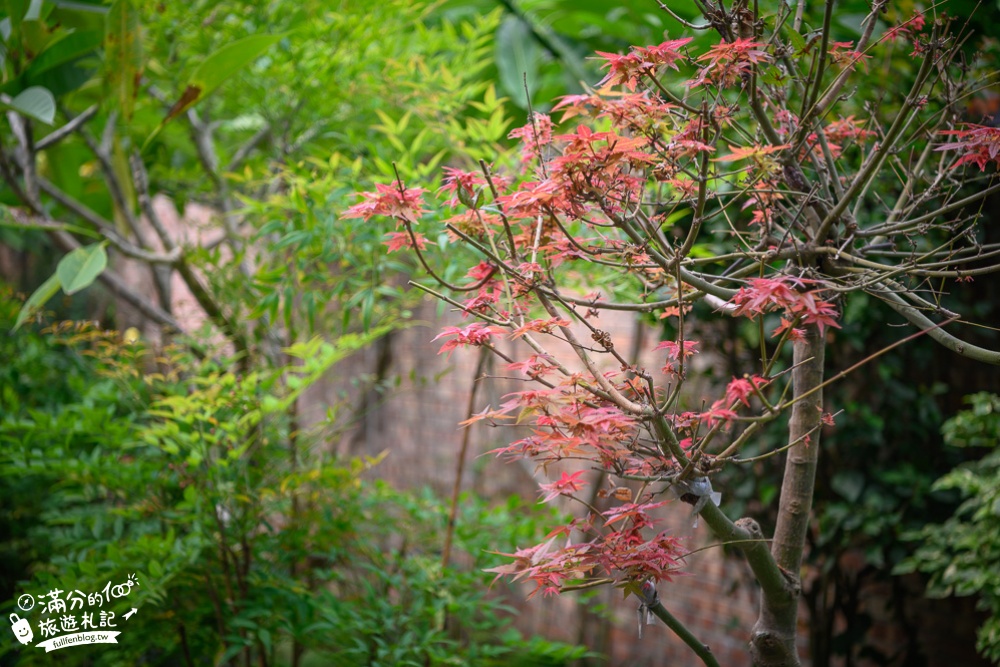 雲林西螺景點|角落很美Cafe|情侶約會.下午茶.粉紅貨櫃.透明鞦韆|超低調~西螺大橋旁的小花園!