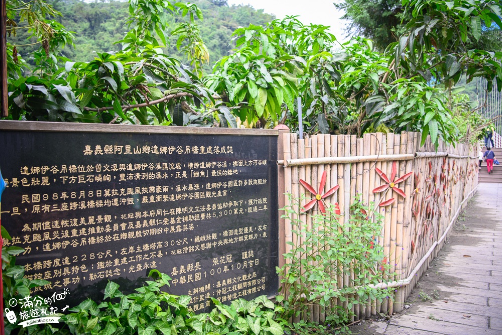 嘉義阿里山景點|達娜伊谷自然生態公園|走吊橋.餵鯝魚.看表演.吃風味餐|探索鯝魚的故鄉~嘉義最美忘憂谷!