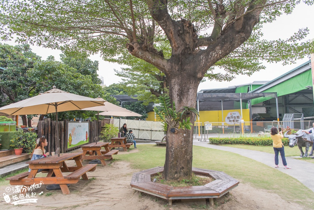 台南【瓜瓜園地瓜生態故事館】免門票地瓜觀光工廠.台南親子景點.挖地瓜.吃地瓜.拍地瓜,玩拍沉睡中巨人蕃薯!