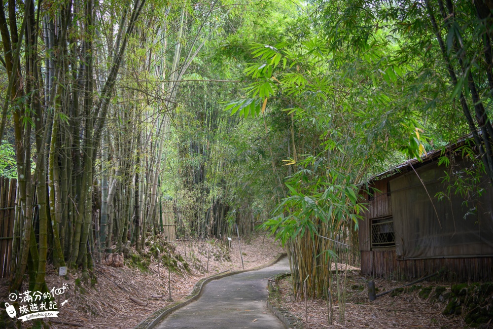 南投竹山景點|青竹文化園區&隱竹別院|竹林秘境.竹子創意料理.導覽DIY|竹林仙境遇見貓熊~台版小嵐山!