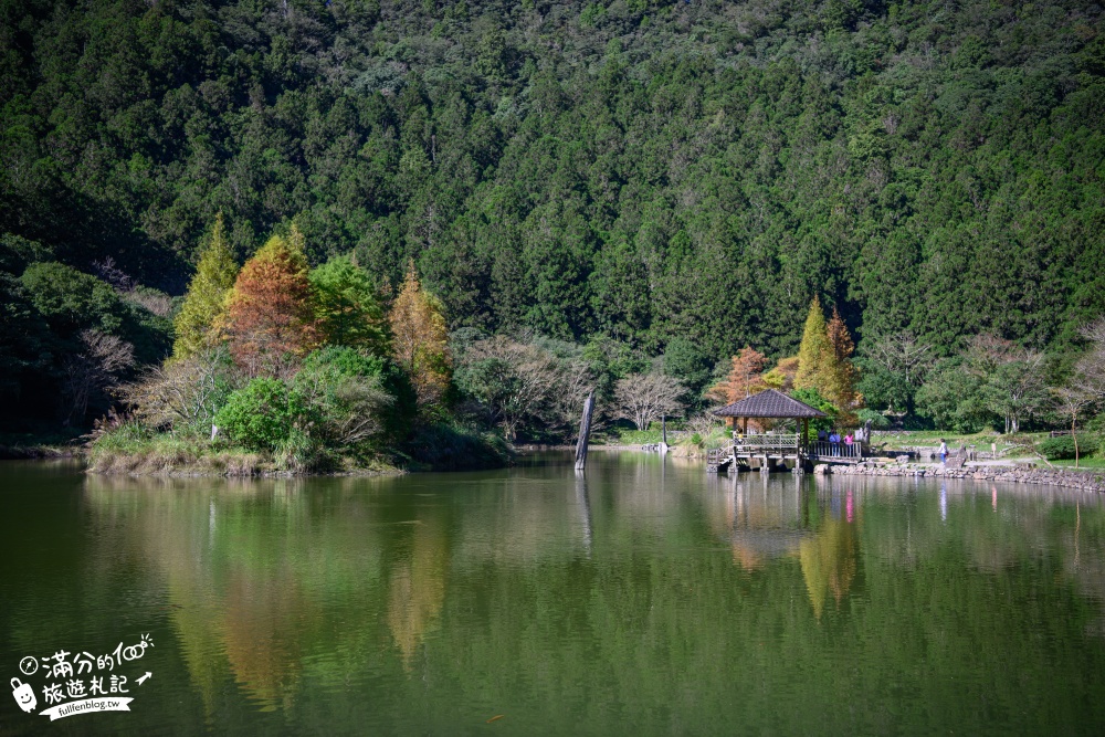 宜蘭大同景點【明池森林遊樂園】宜蘭高山夢幻湖.宜蘭踏青好去處,探索最忘憂的迷霧森林!