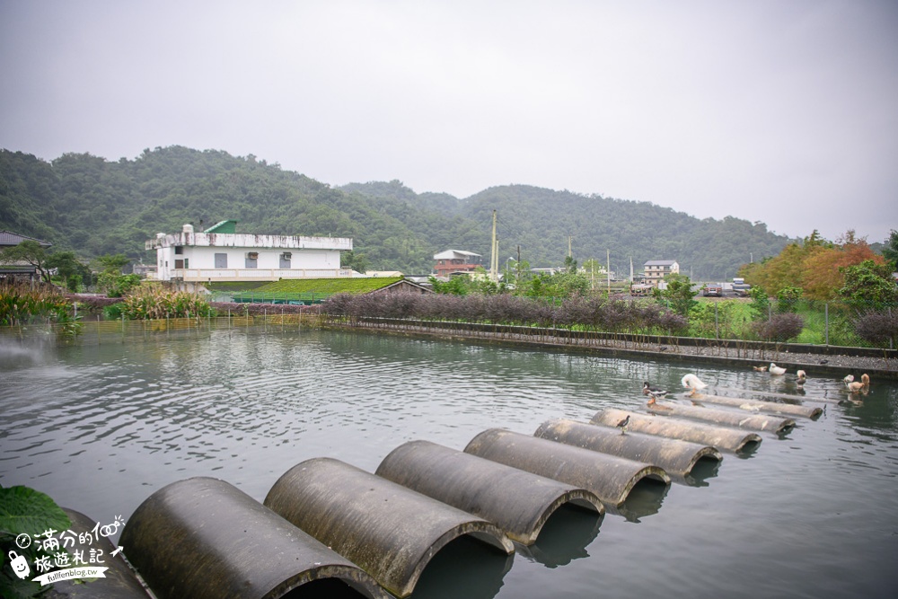 宜蘭礁溪景點|甲鳥園.複合式養鴨農場|餵鴨.抱鴨.玩拍鴨公仔.吃鴨蛋糕|好療癒~與鴨寶寶的親密接觸!