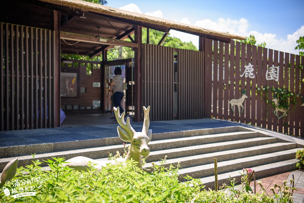 高雄壽山動物園最新天空步道|親子景點.餵小羊.看小鹿.搭小火車~與紅毛猩猩.萬獸之王合影拍美照!