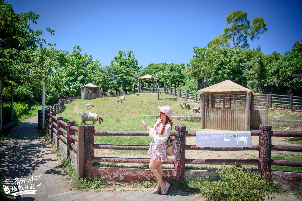 高雄壽山動物園最新天空步道|親子景點.餵小羊.看小鹿.搭小火車~與紅毛猩猩.萬獸之王合影拍美照!