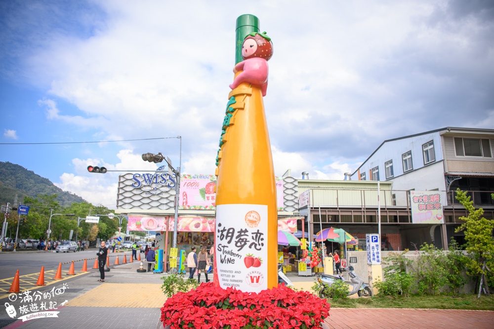 【苗栗大湖酒莊一日遊】免門票大湖草莓文化館.必拍巨無霸大草莓.親子同遊採草莓體驗好好玩!