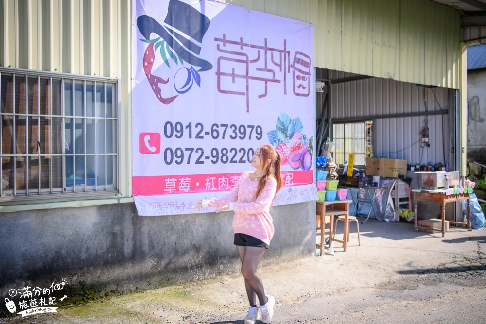 苗栗大湖採草苺|莓李帽草莓園|採草莓體驗.草莓香腸.煉乳草莓.草莓牛奶|馬拉邦山～大湖最美的草莓梯田！