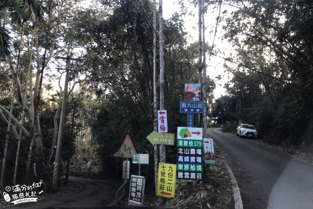 南投梅花季|九尖茶廠.九份二山(免門票)國姓賞梅秘境|爆炸滿開的梅花林~絕美銀白色世界!