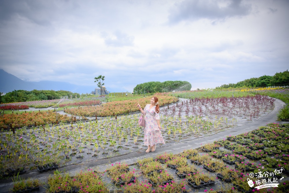 【2024花蓮市區景點一日遊】10個花蓮市區景點攻略,看海豚.穿和服.拍3D彩繪.逛夜市.花蓮市人氣海景飯店推薦!