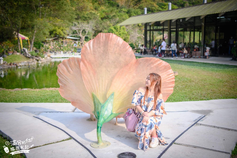 【2024南投中寮懶雲窩朱槿花】全台唯一朱槿花景觀花園,巨無霸朱槿花一支獨秀賞心悅目~全台最大扶桑花園!