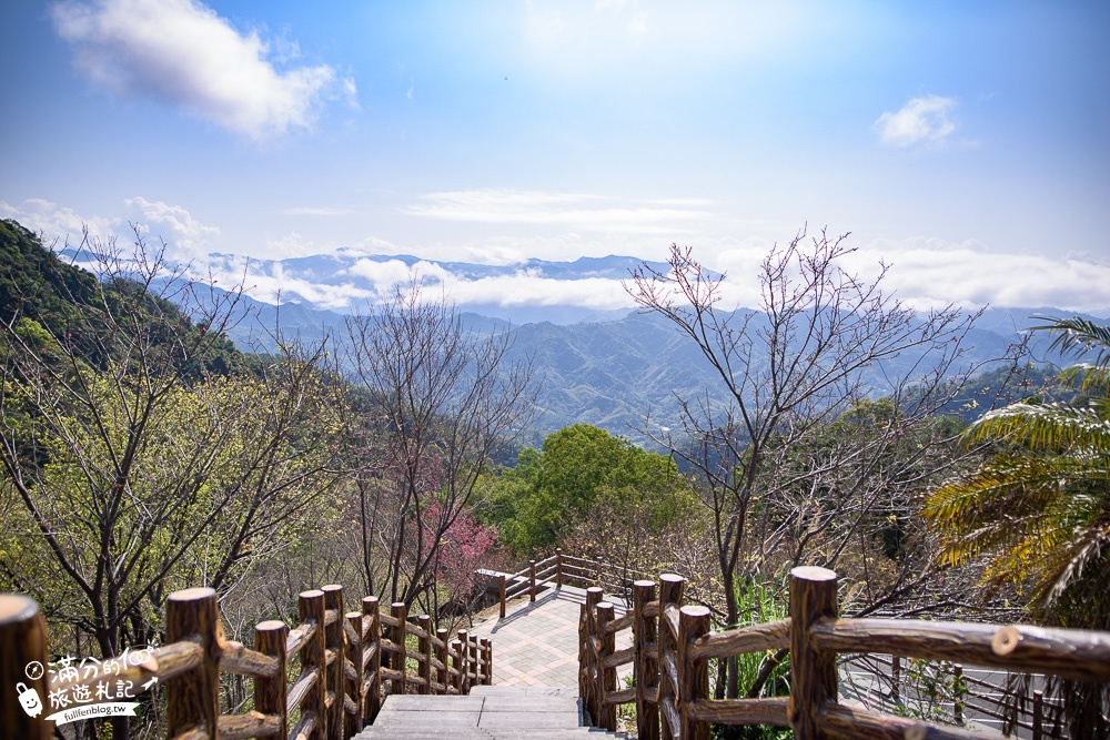 【2024協雲宮櫻花季】苗栗走春景點推薦,苗栗櫻花秘境~最浪漫的櫻之丘!