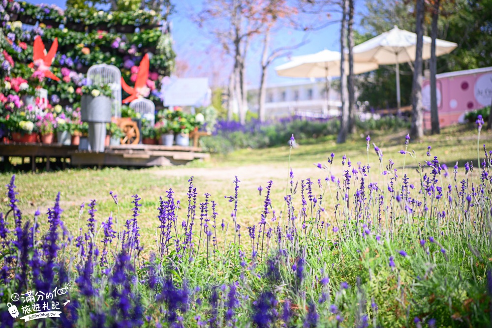 台中【心之芳庭】歐風花園美拍指南.台中普羅旺斯,最夢幻的南法莊園！