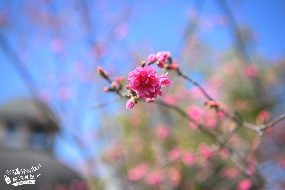 台中【心之芳庭】歐風花園美拍指南.台中普羅旺斯,最夢幻的南法莊園！