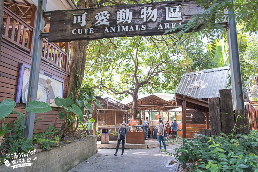 高雄小港景點|淨園農場|迷你動物園.餵草泥馬.看飛機|北歐風帳篷秘境~在峇里島下午茶!