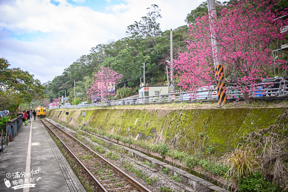 新竹景點【合興車站】搭小火車.溜滑梯.巨無霸大愛心.賞櫻花,浪漫時光牆~在鐵道上遇見愛!