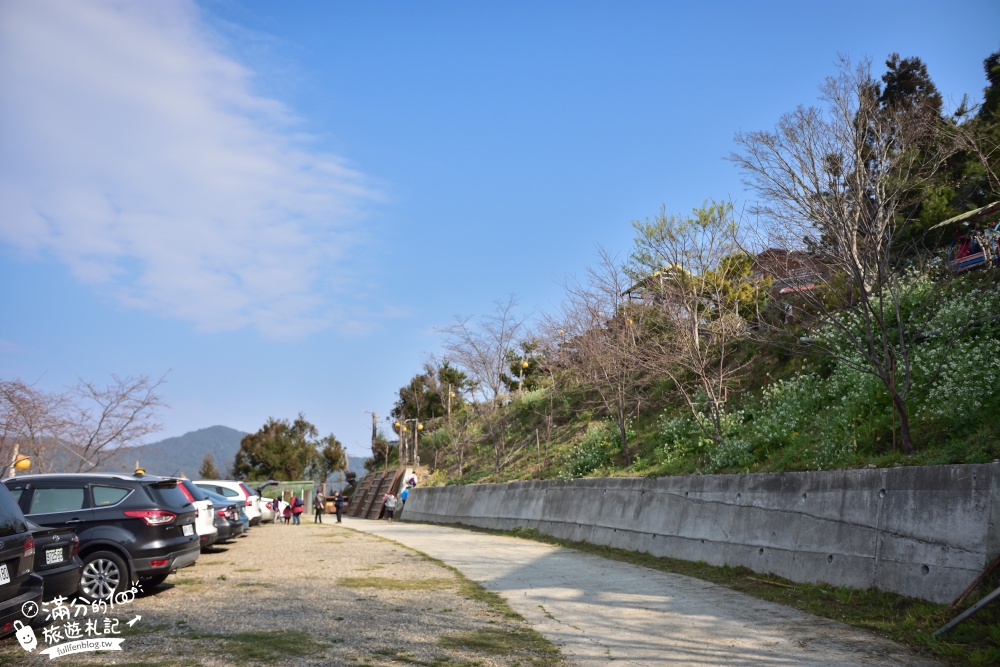 【2024恩愛農場櫻花季】最新花況.門票資訊.絕美富士櫻~拉拉山最強粉紅秘境,順遊景點攻略!