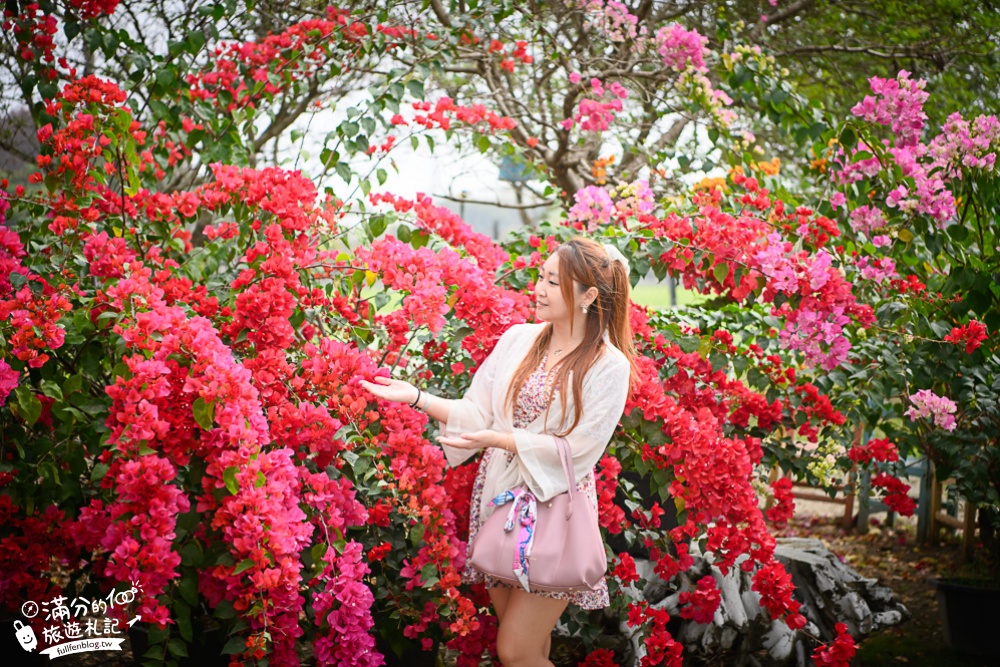 雲林斗六景點|九九莊園|LOVE草原.彩虹氣球.童話樹屋.小火車|情侶親子好去處~森林系婚紗基地!