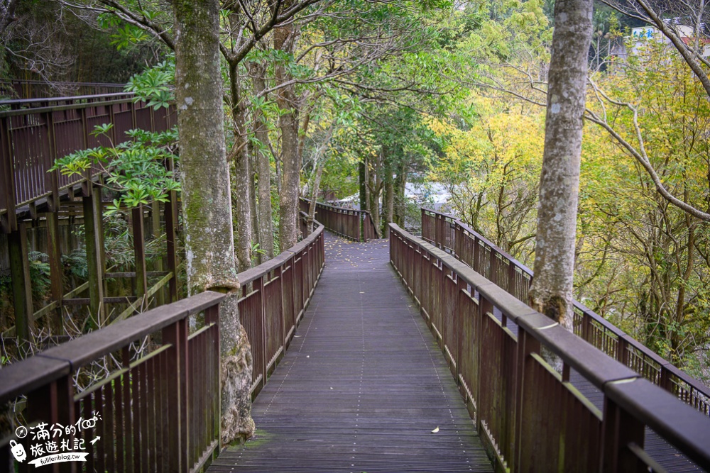 桃園復興景點|小烏來天空步道|遊步道.望瀑布.賞櫻花.看風動石.走天空繩橋|50元一票玩到底，腳踏山谷瀑布好震撼!