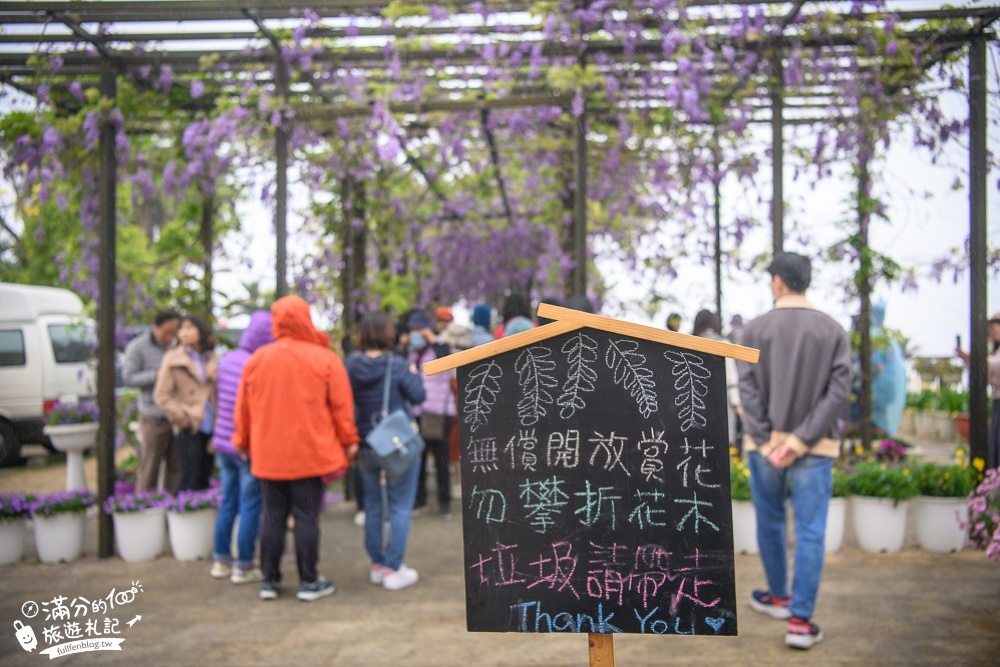 瑞里紫藤花季賞花攻略|瑞里6大賞花名所|茶壺民宿餐廳.瑞里印象民宿.阿喜紫藤|走訪紫藤花故鄉~漫步夢幻紫藤隧道!