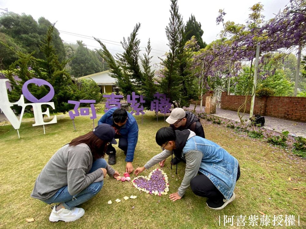 瑞里紫藤花季賞花攻略|瑞里6大賞花名所|茶壺民宿餐廳.瑞里印象民宿.阿喜紫藤|走訪紫藤花故鄉~漫步夢幻紫藤隧道!