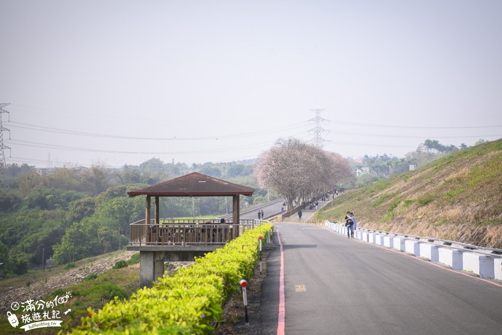 台南【烏山頭水庫風景區】南洋櫻盛開.玩親水公園.遊八田與一園區,搭遊艇.走吊橋.拍天壇.穿和服,水庫一日遊攻略!