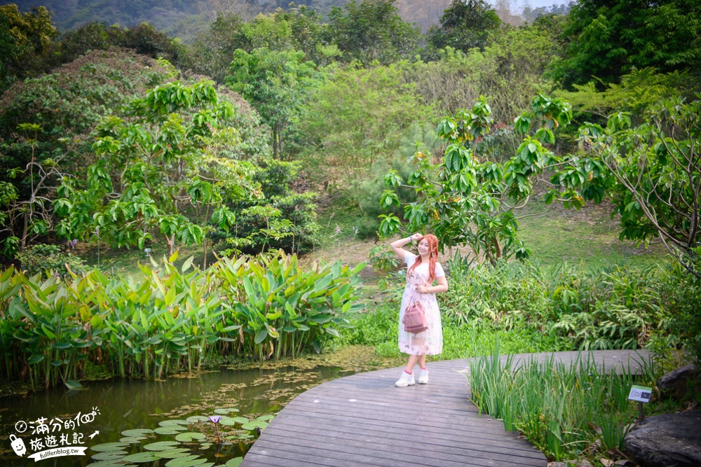 屏東景點|銘泉生態休閒農場|探索鳳梨田.鳳梨花愛心.採鳳梨體驗|好驚艷~玩拍田中的巨無霸鳳梨!