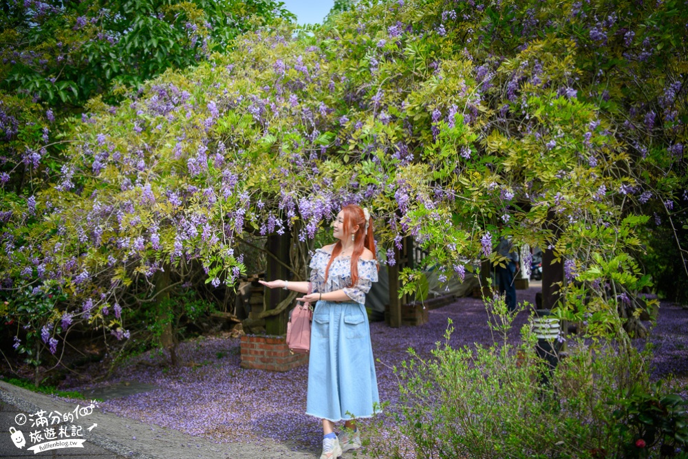 【2024杜石地一號紫錐花莊園】紫藤花季活動&門票.下午茶.簡餐, 四季都美,散步在異國風的小花園!