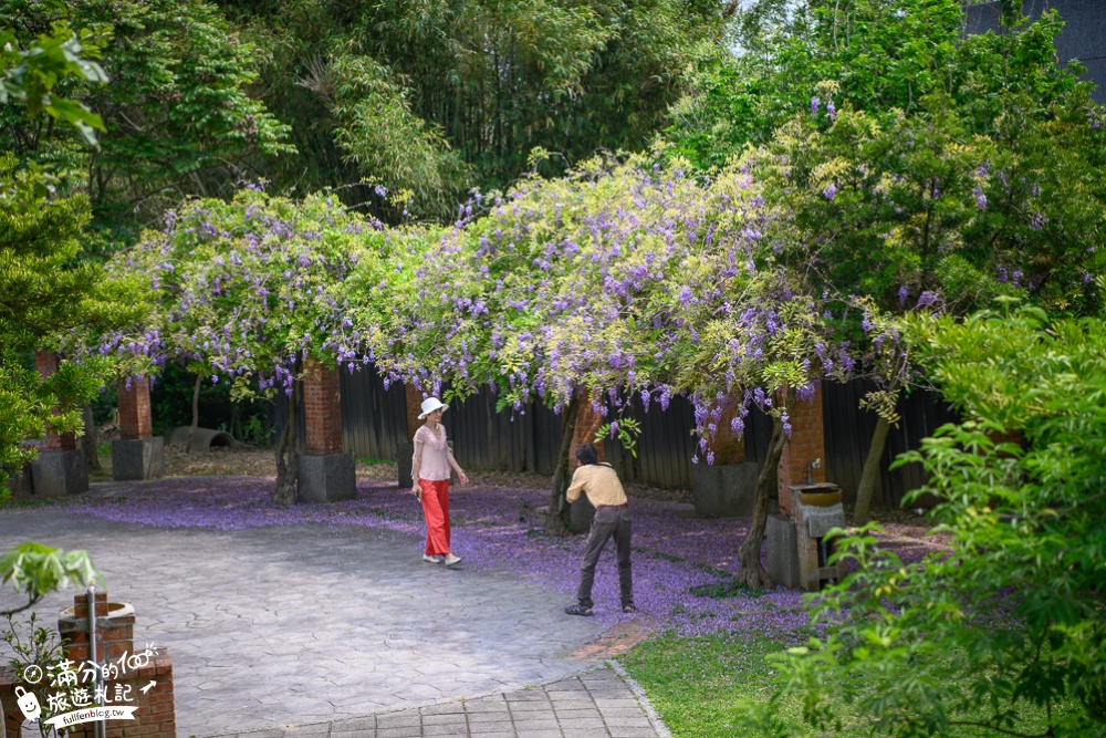 【2024杜石地一號紫錐花莊園】紫藤花季活動&門票.下午茶.簡餐, 四季都美,散步在異國風的小花園!