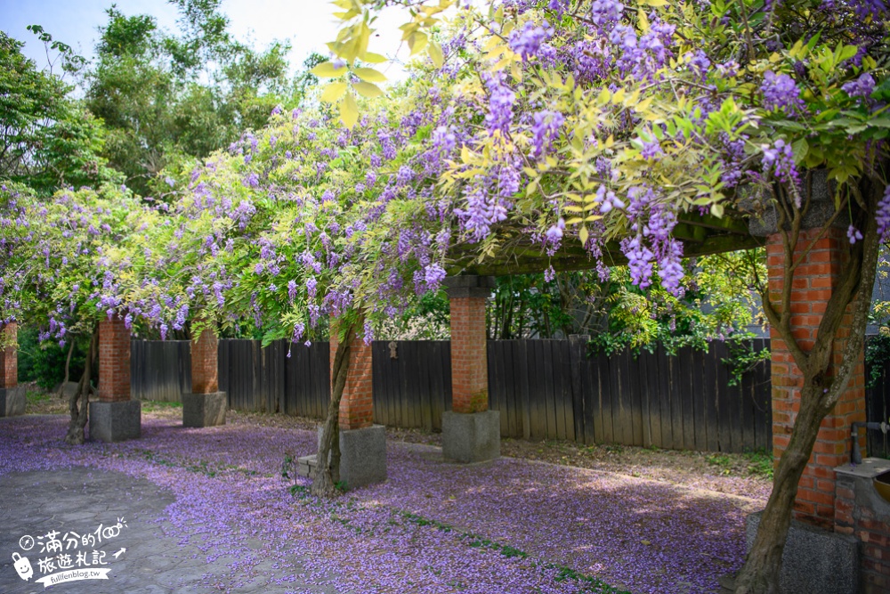 【2024杜石地一號紫錐花莊園】紫藤花季活動&門票.下午茶.簡餐, 四季都美,散步在異國風的小花園!